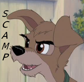 Scamp Avvie 'I will be the best teen ever'