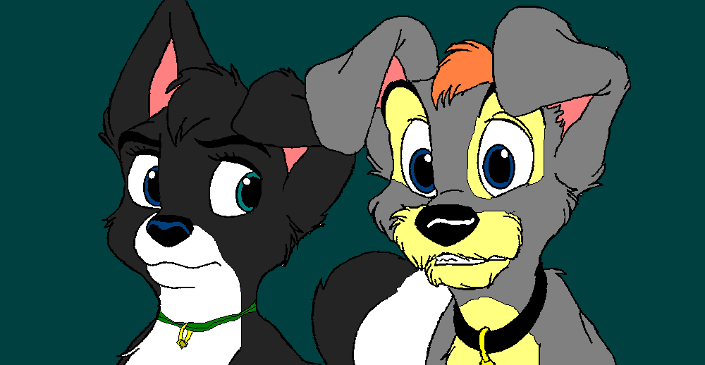 Puppies for Allostar