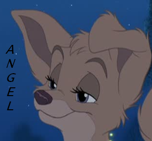 Angel is beautiful avvie