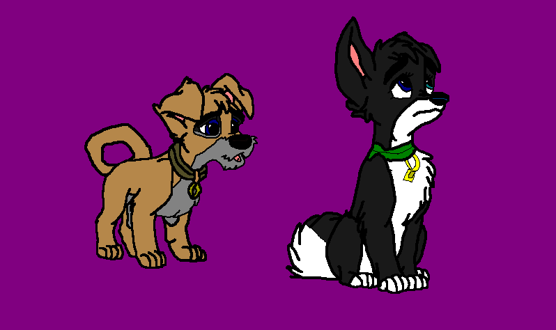 Conflict of siblings 2