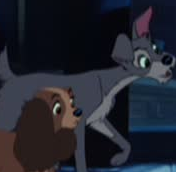 Lady and Tramp avvie
