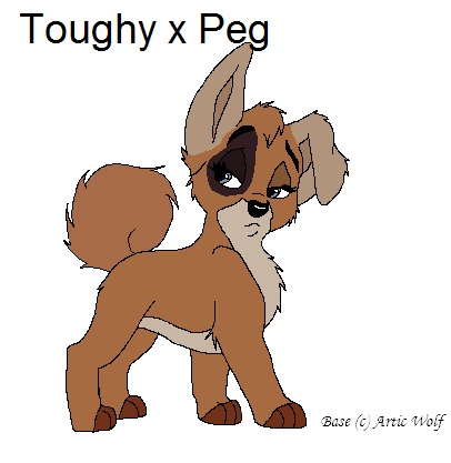 Toughy x Peg