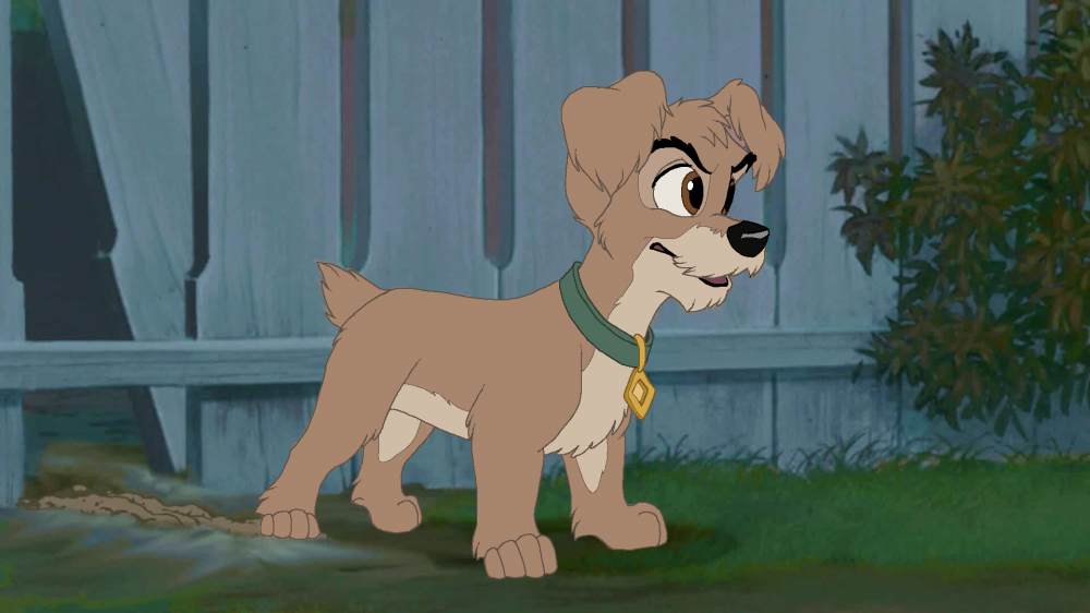 Scamp
