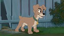 Scamp