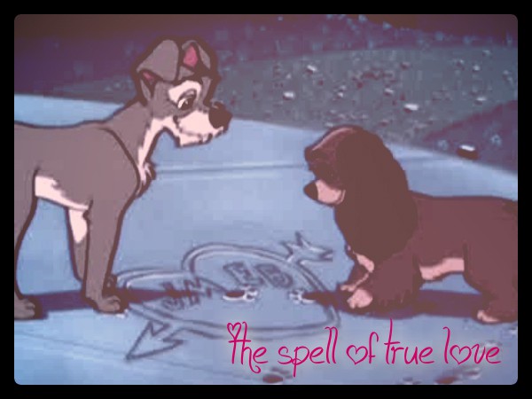 The Spell of True love