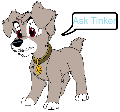 Ask Tinker :D~