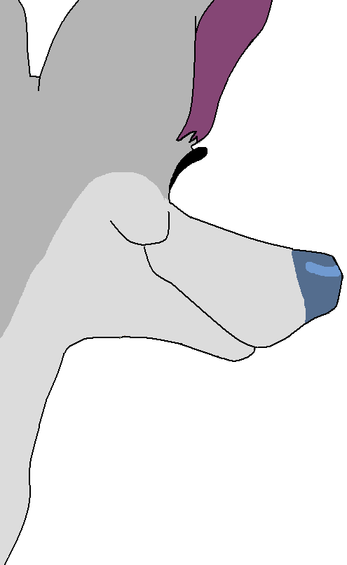 Random dog -Base 3-