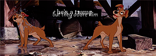 He's a Tramp