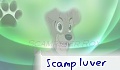 Scamp luver