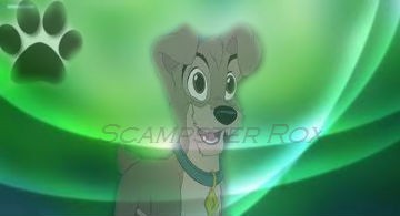 Scamp - Avatar