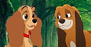 What If- Coplette- Playing in the forest