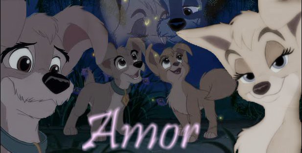 Amor