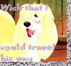 Free Avatar
