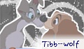 Tibbeh