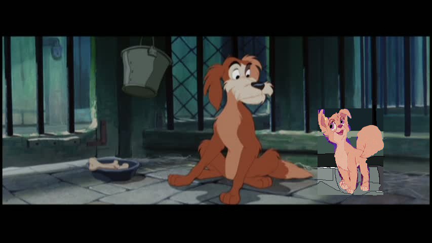 lia and toughy