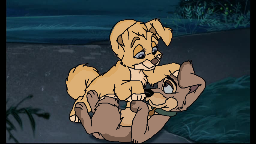 the real love of real housepets