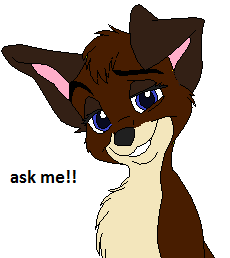 ask me!!!