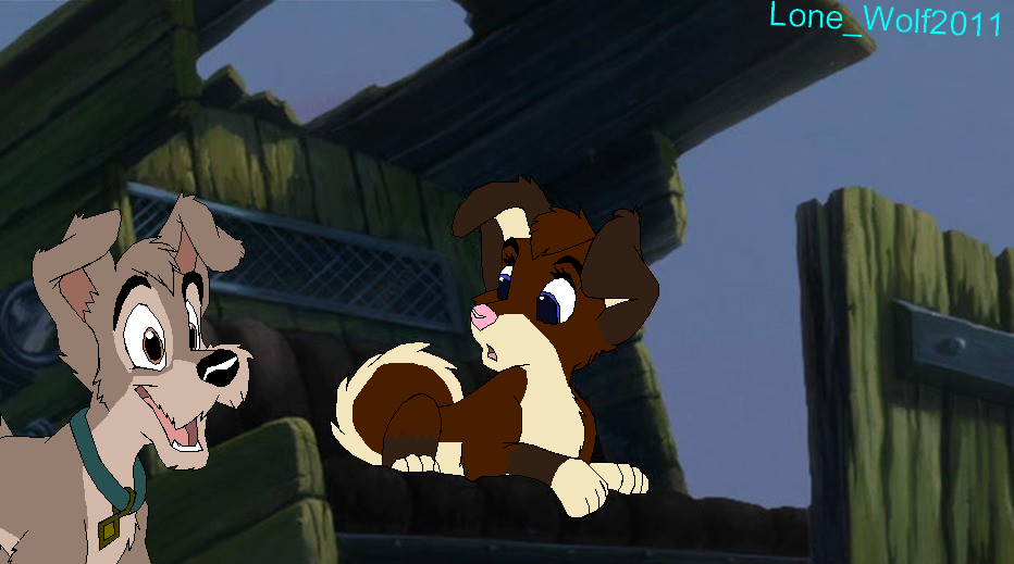 angelina and scamp