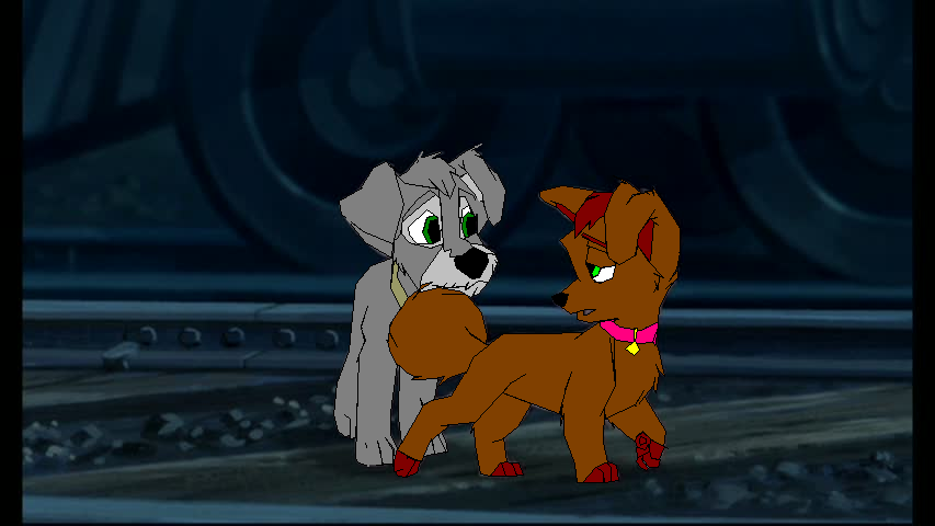 Twinkle and Maxwell
