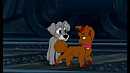 Twinkle and Maxwell