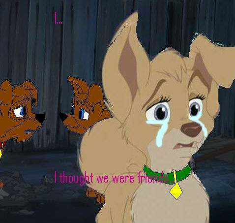 Betrayed Yet Again