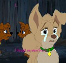 Betrayed Yet Again