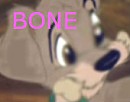 Bone