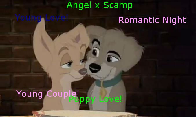 Angel And Scamp Forever