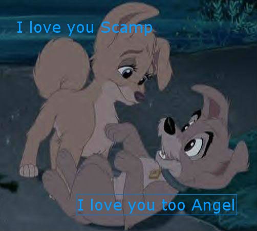 Angel x Scamp
