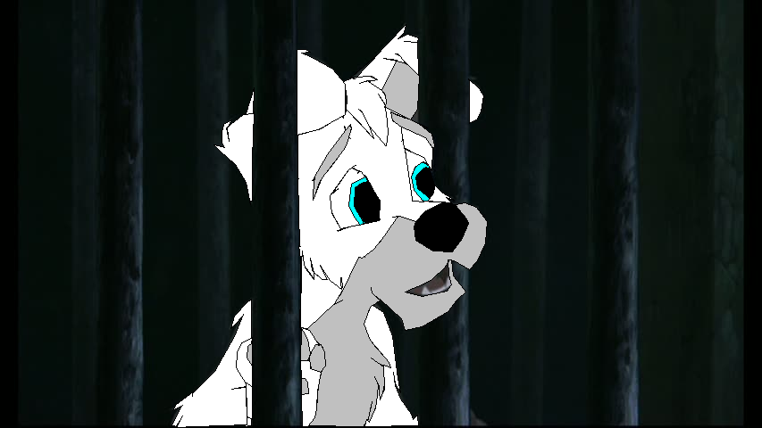 In The Pound