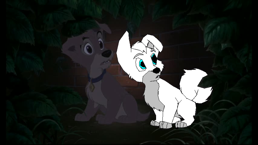 Hide From The Dog Catcher