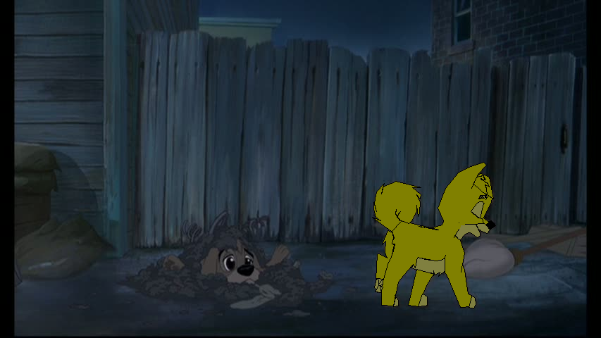 The New Dog In Town
