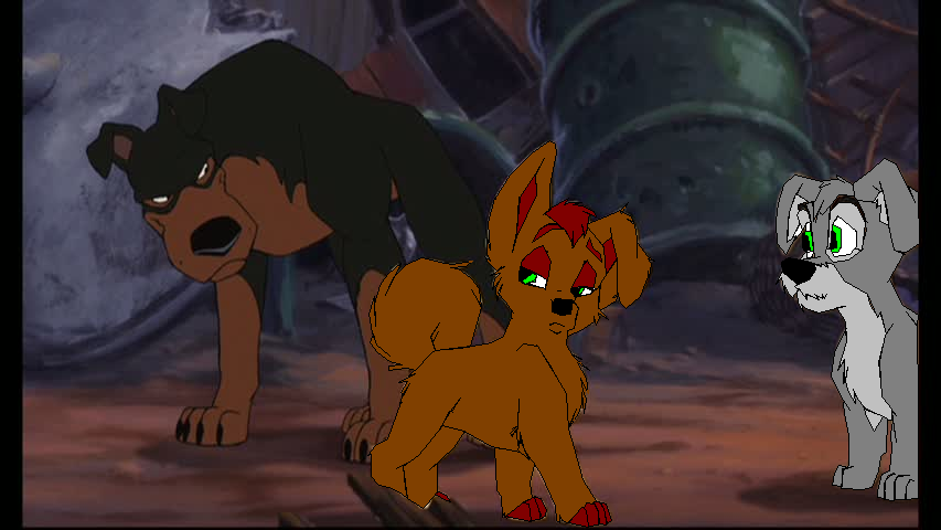 A Confrontation