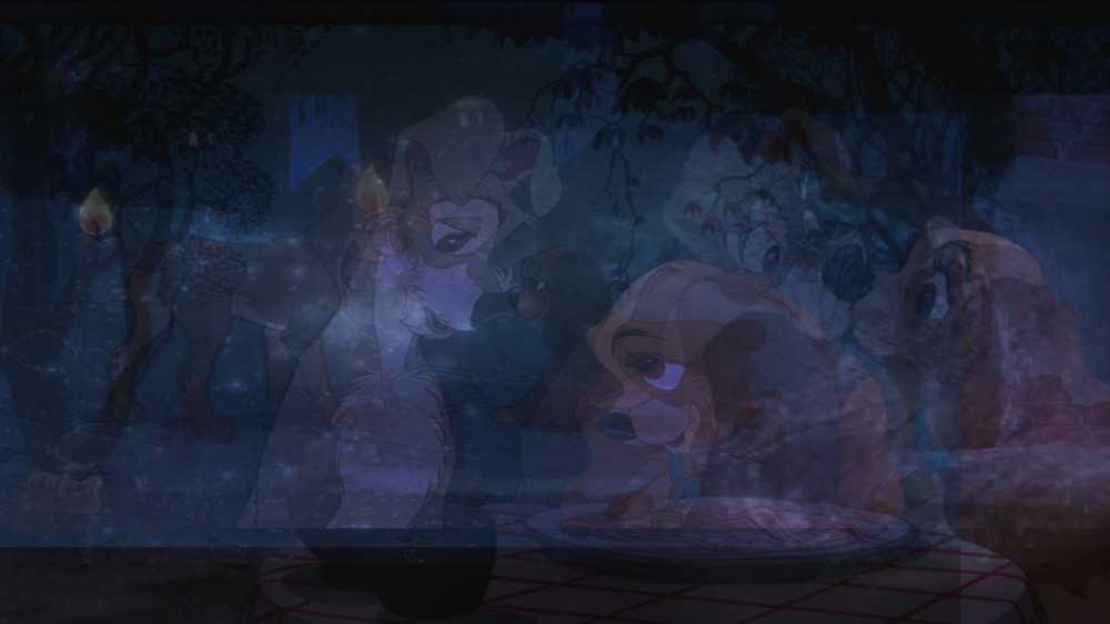 Lady and The Tramp