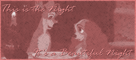 This is the Night