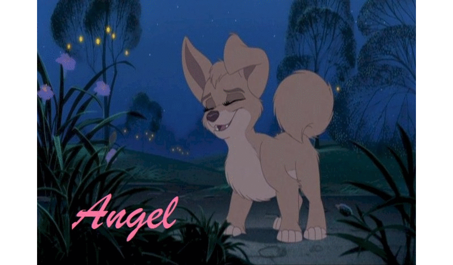 Angel Animation
