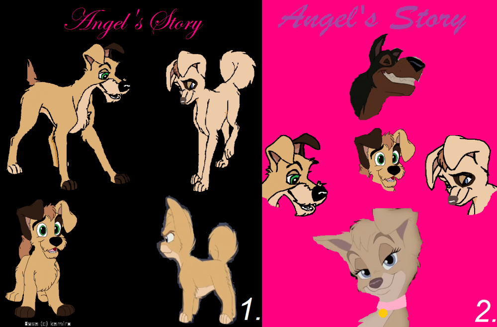 Choose a cover *read description*