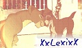 XxLexixX