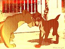 Nala and Tramp