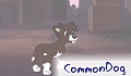 CommonDog