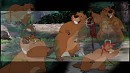 Beaver