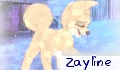 Zayline