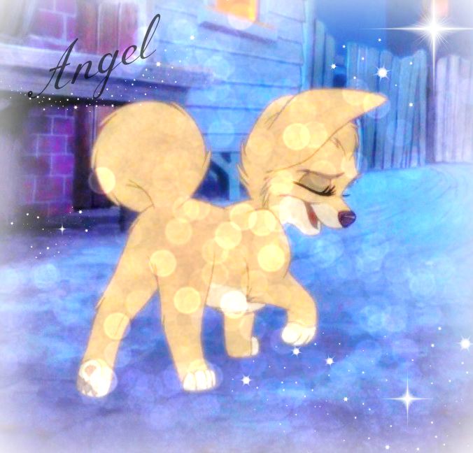 Little Angel