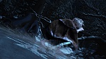 Image Les  Légendes