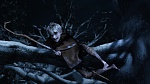 Image Les  Légendes