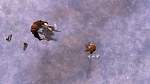 Image Les  Légendes