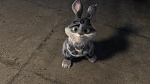 Image Les  Légendes