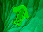 Image Lilo et Stitch - la série