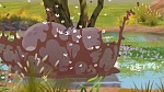 The Lion Guard picture
