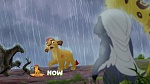 The Lion Guard picture